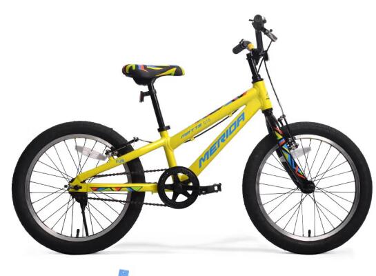 How to choose a children's bicycle?